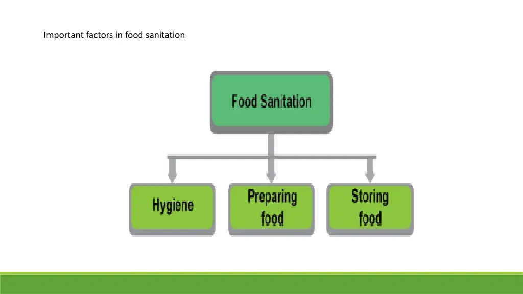 important factors in food sanitation