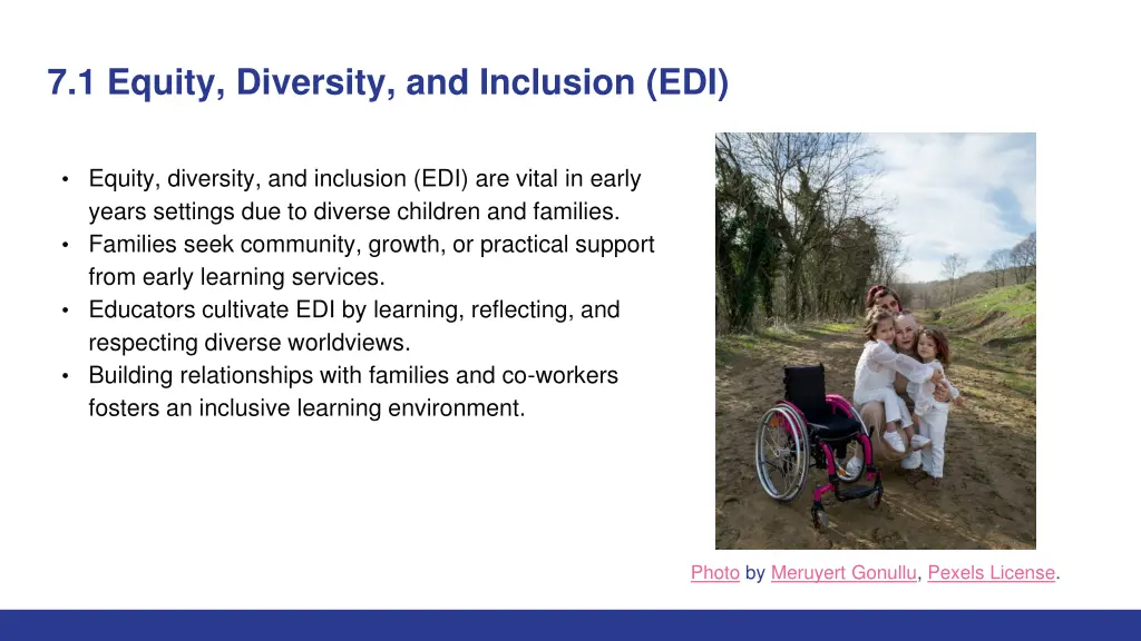 7 1 equity diversity and inclusion edi