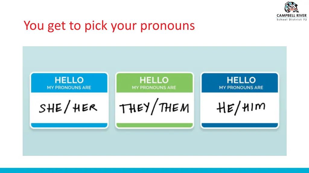 you get to pick your pronouns