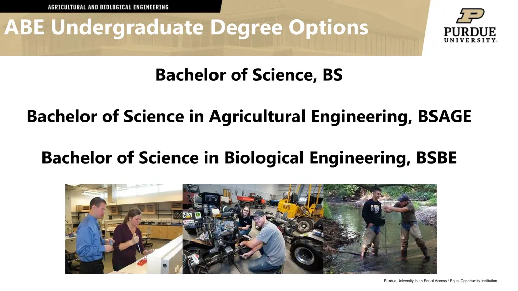 abe undergraduate degree options