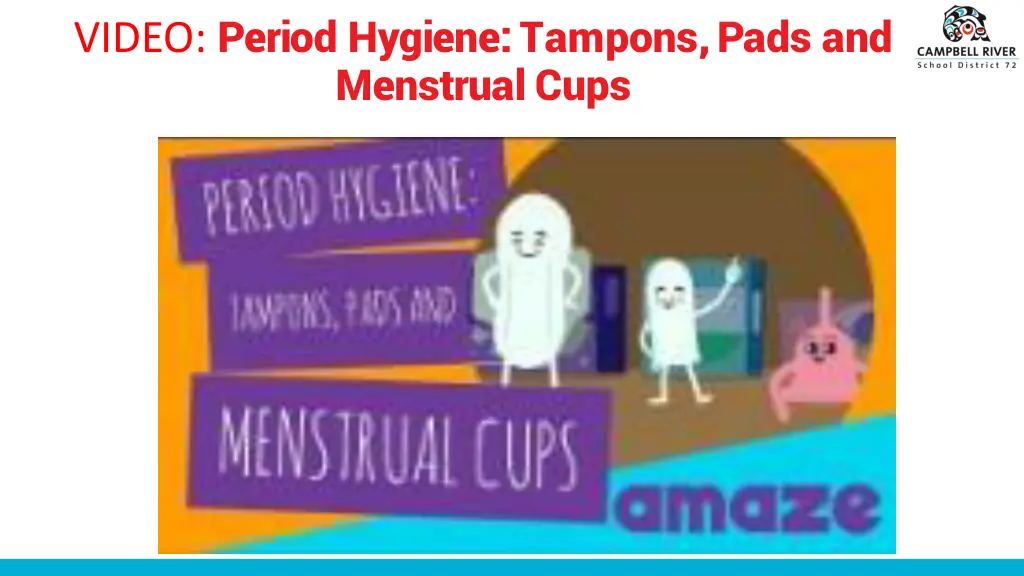 video period hygiene tampons pads and menstrual
