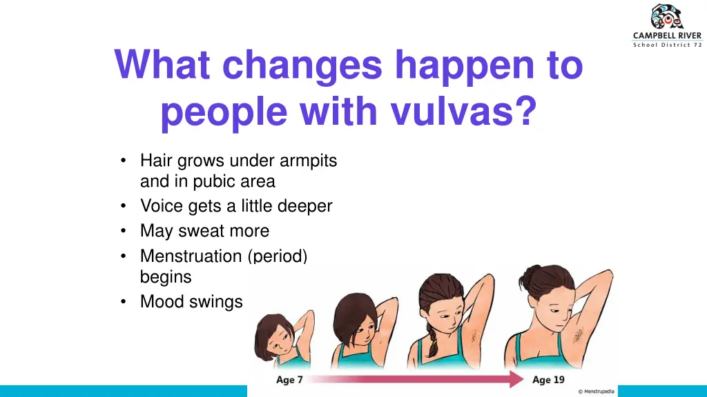 what changes happen to people with vulvas 1