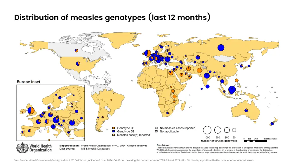 distribution of measles genotypes last 12 months