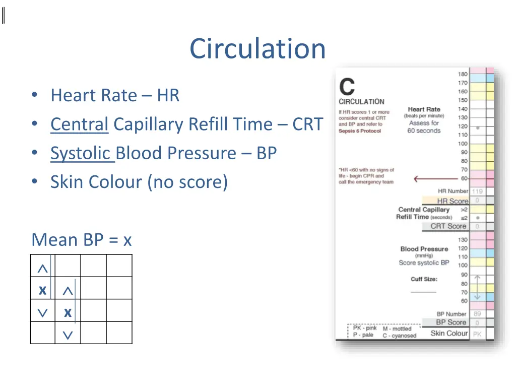 circulation