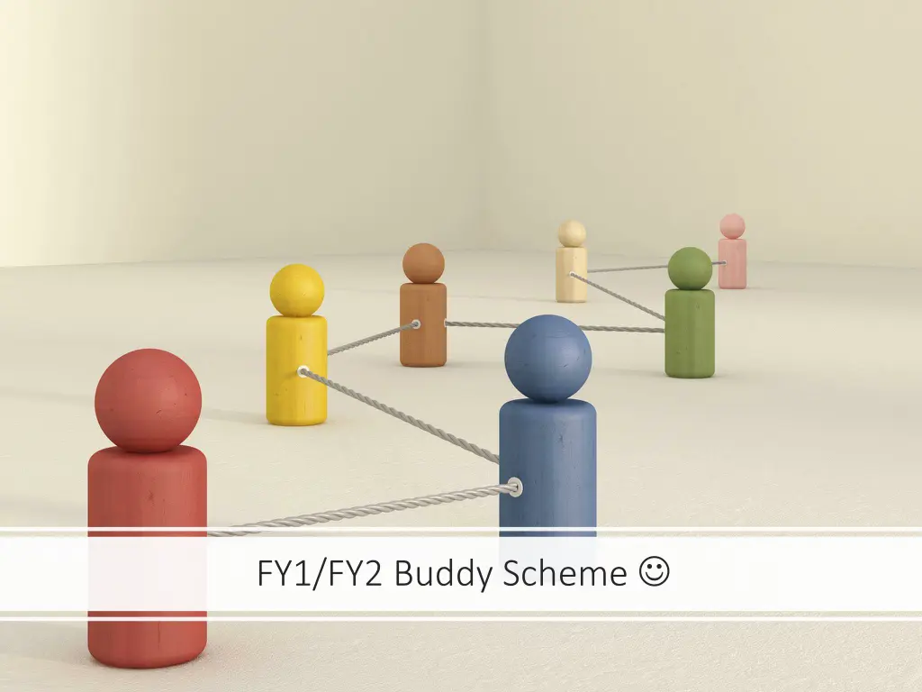 fy1 fy2 buddy scheme