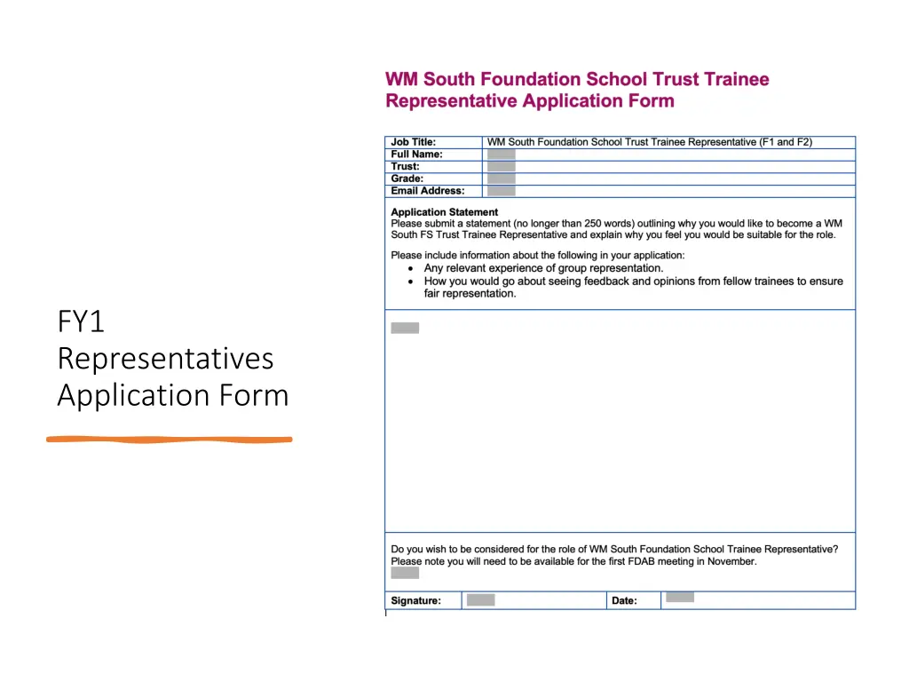 fy1 representatives application form