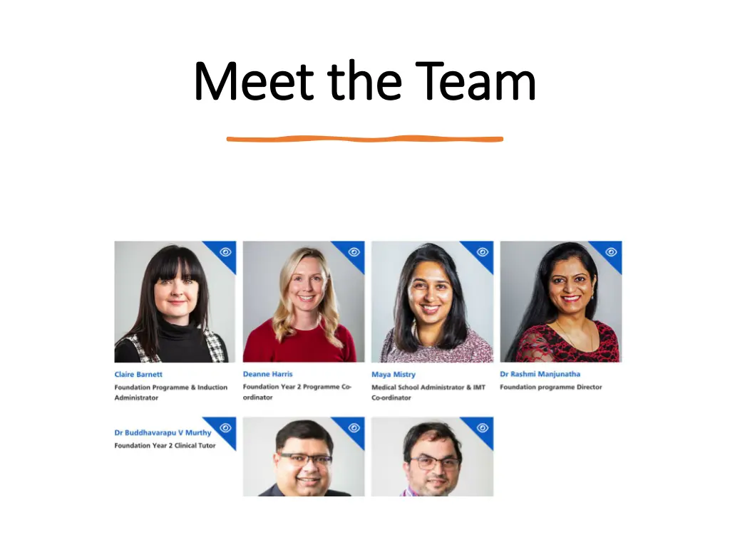 meet the team meet the team