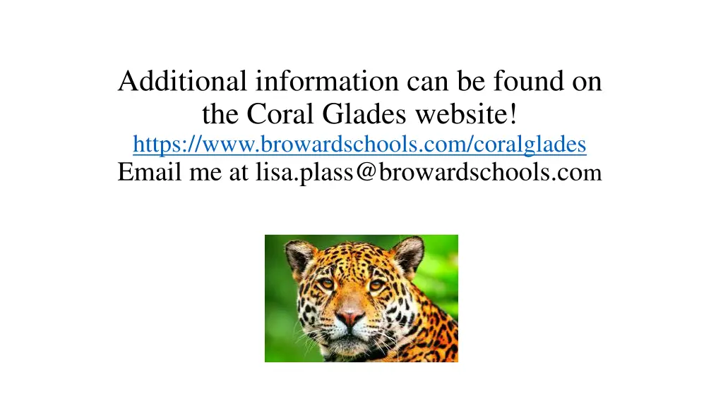 additional information can be found on the coral