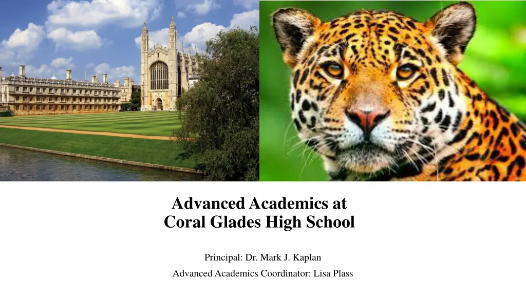 advanced academics at coral glades high school