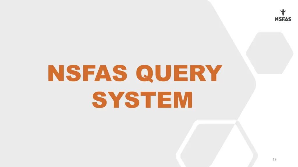 nsfas query system