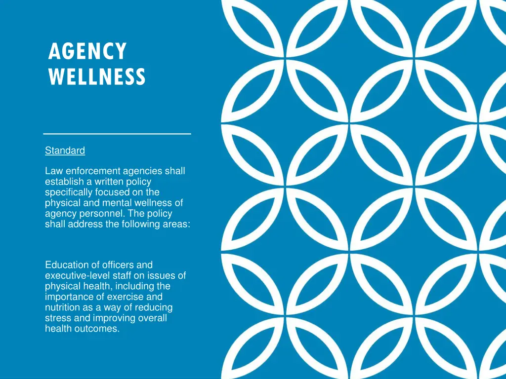 agency wellness 1