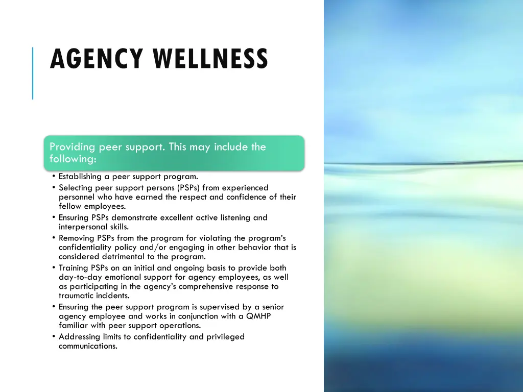 agency wellness 13