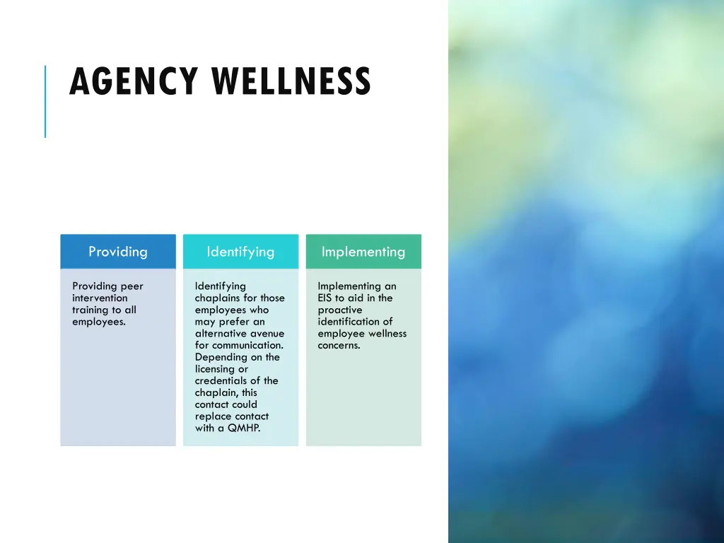 agency wellness 14