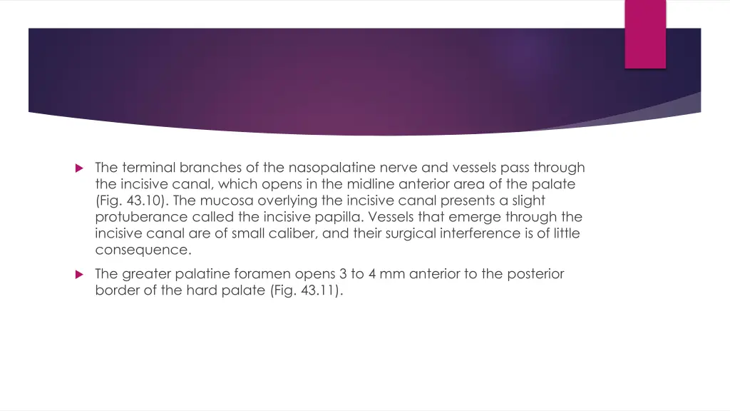 the terminal branches of the nasopalatine nerve