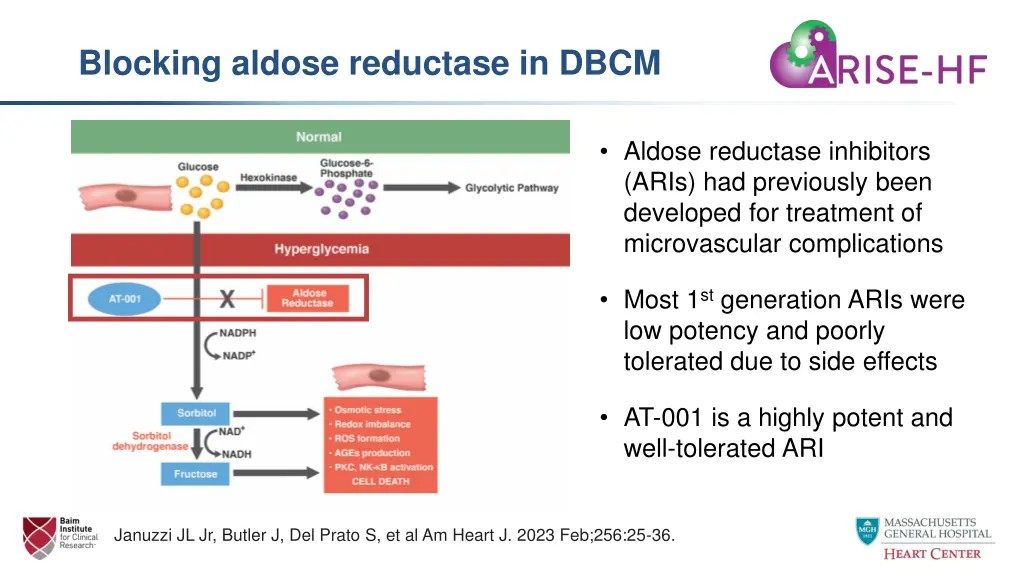 blocking aldose reductase in dbcm