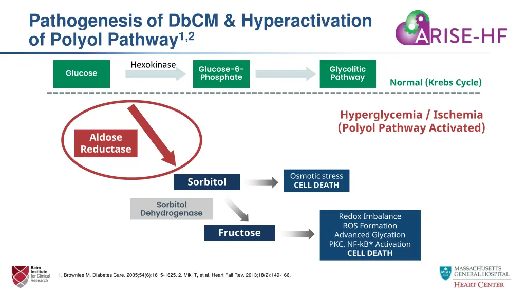 pathogenesis of dbcm hyperactivation of polyol