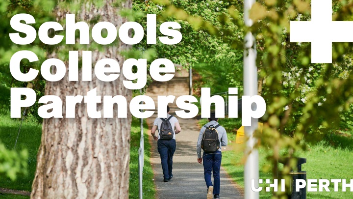 schools schools college college partnership