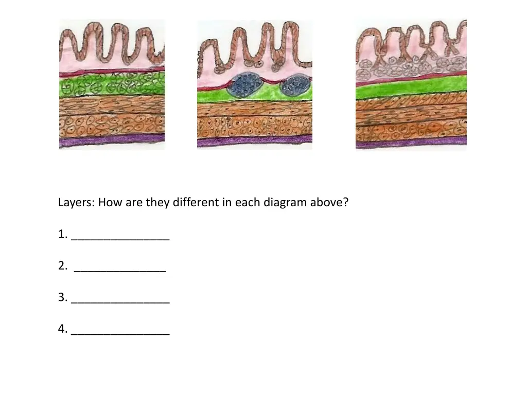 layers how are they different in each diagram