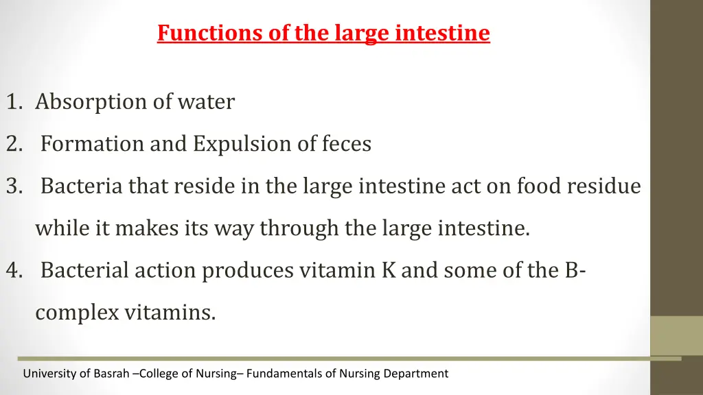 functions of the large intestine