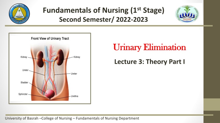 fundamentals of nursing 1 st stage second