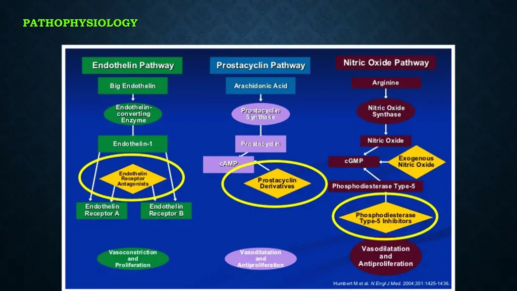 pathophysiology 1