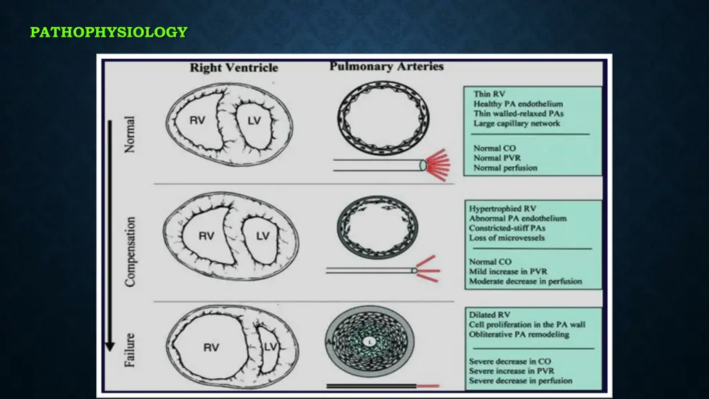 pathophysiology 2