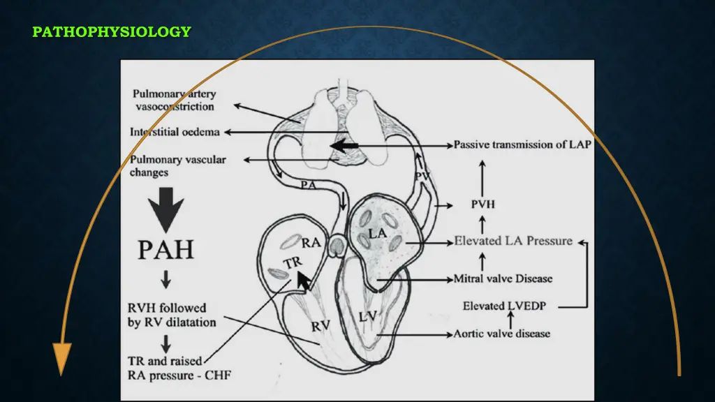 pathophysiology