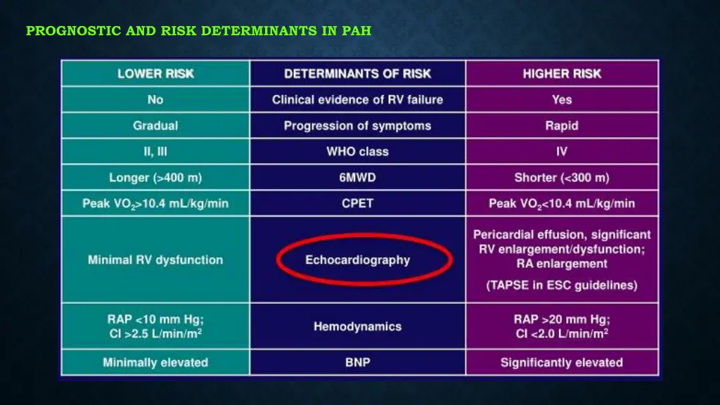 prognostic and risk determinants in pah
