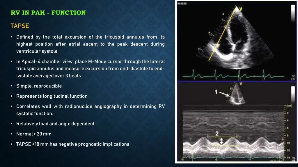 rv in pah function 1