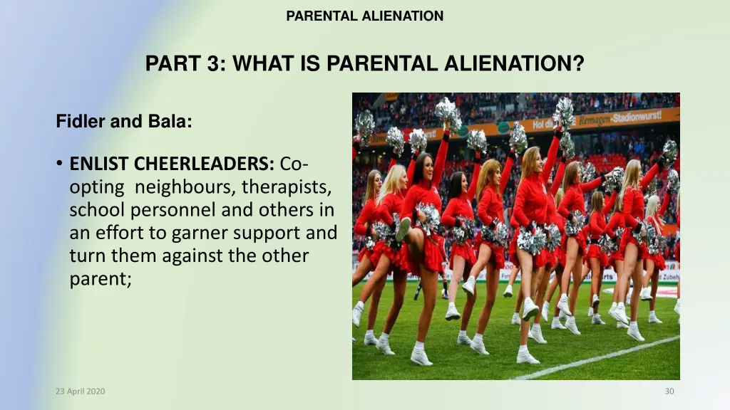 parental alienation 23