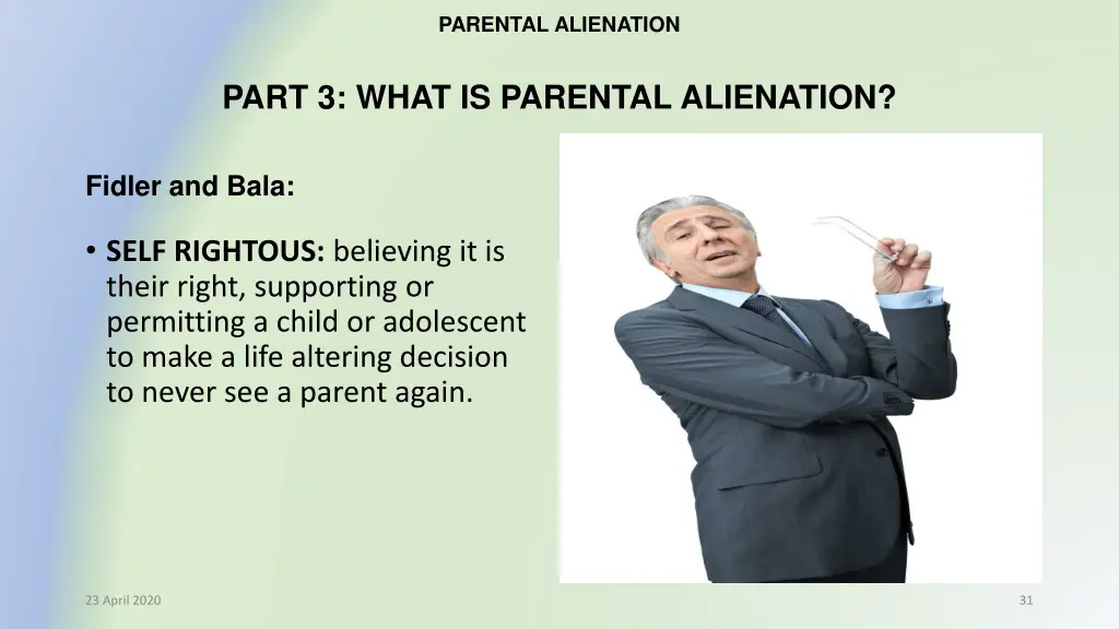 parental alienation 24