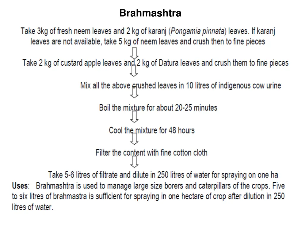 brahmashtra