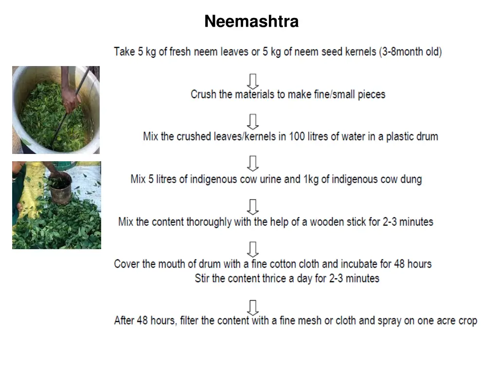 neemashtra