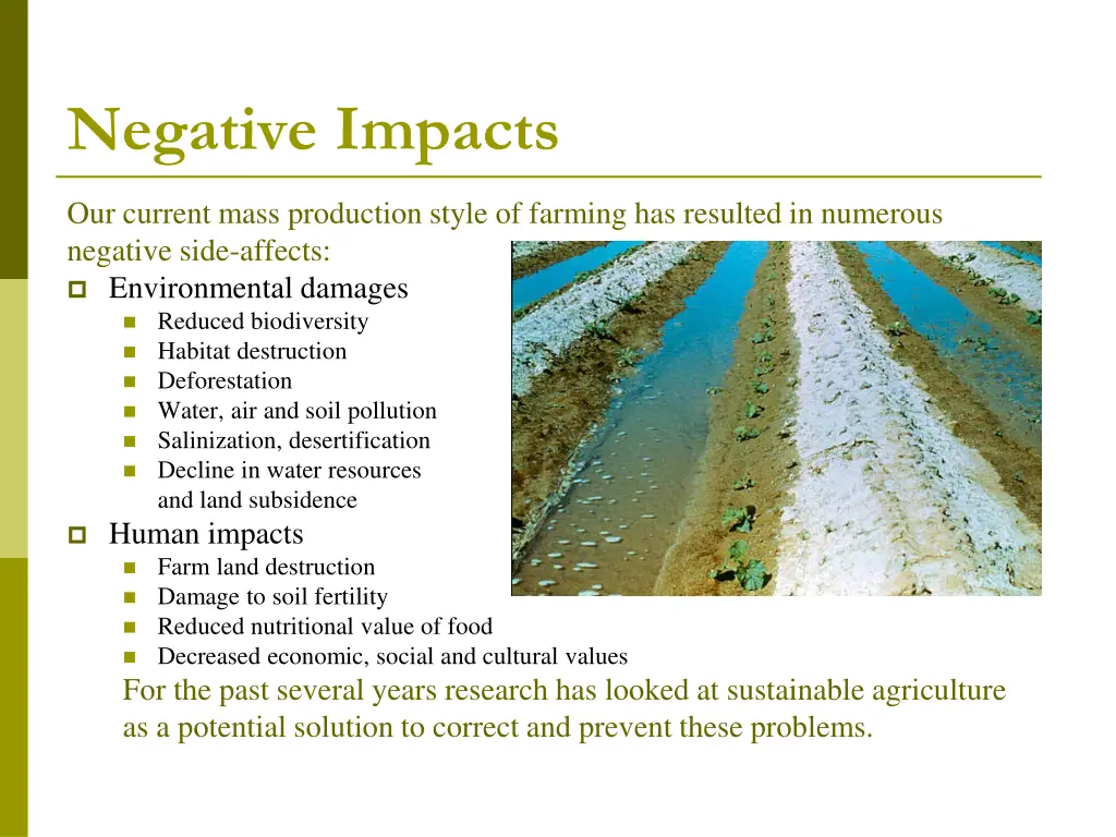 negative impacts