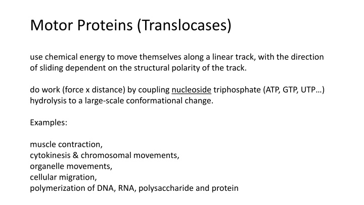 motor proteins translocases