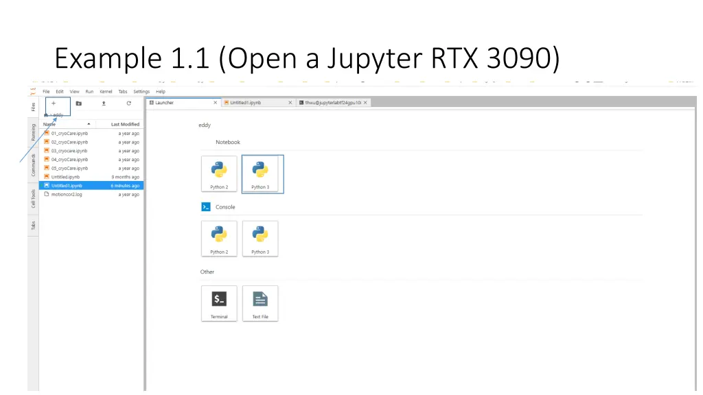 example 1 1 open a jupyter rtx 3090