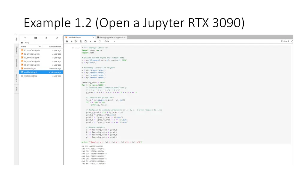 example 1 2 open a jupyter rtx 3090