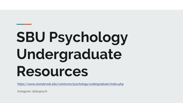 sbu psychology undergraduate resources