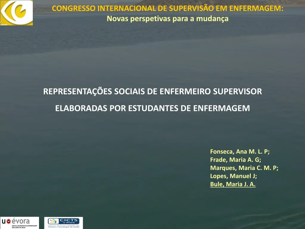 congresso internacional de supervis 13