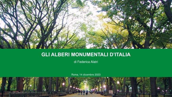 gli alberi monumentali d italia