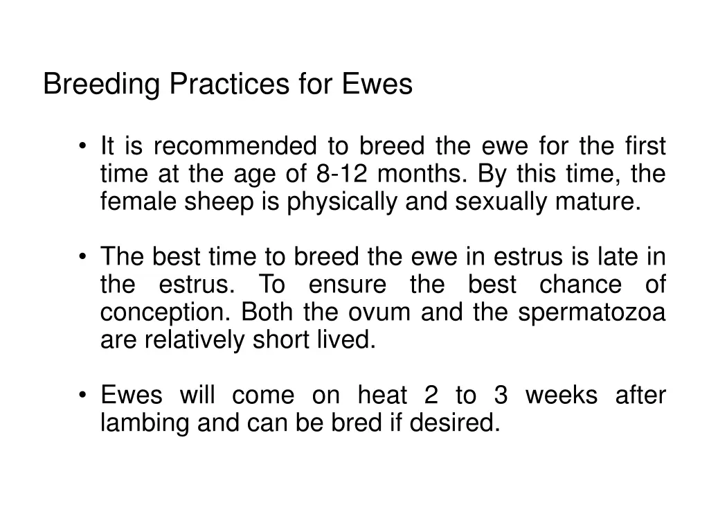 breeding practices for ewes