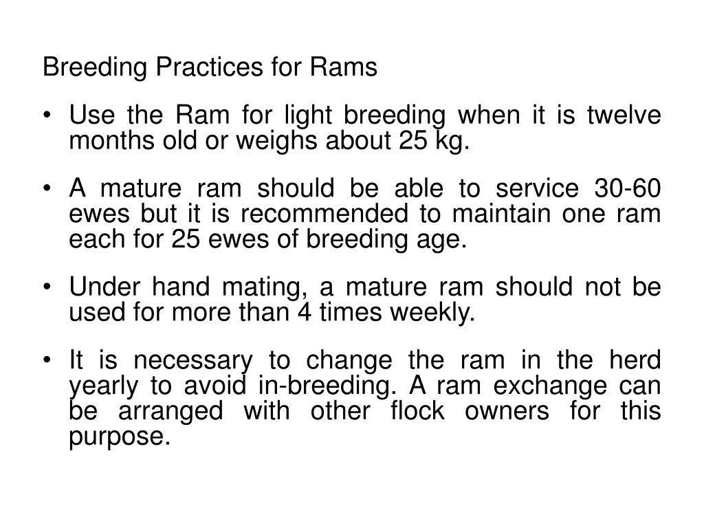 breeding practices for rams