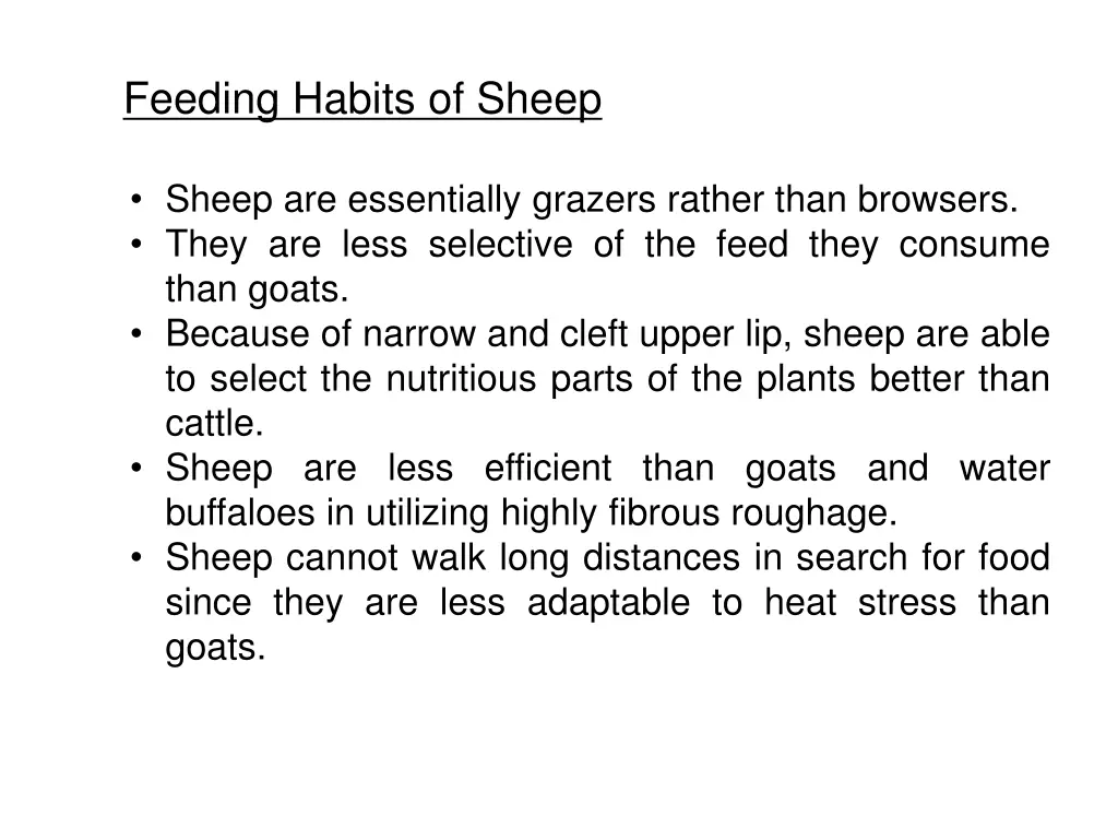 feeding habits of sheep