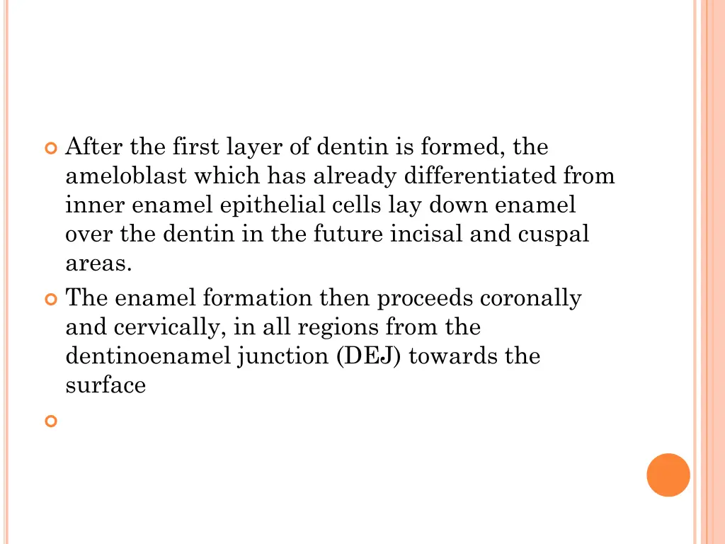 after the first layer of dentin is formed