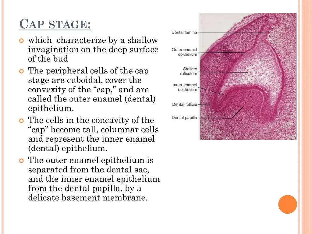 c ap stage