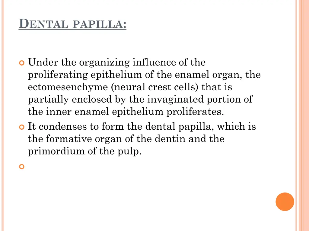 d ental papilla