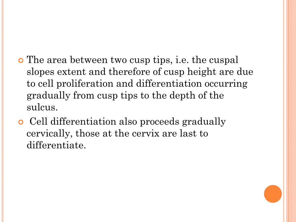 the area between two cusp tips i e the cuspal