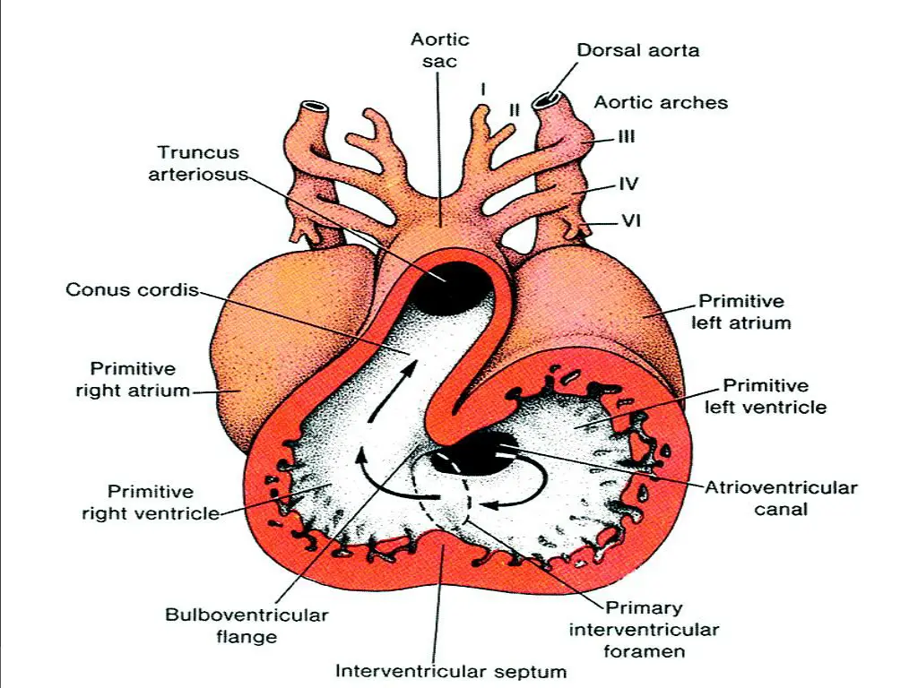 slide27