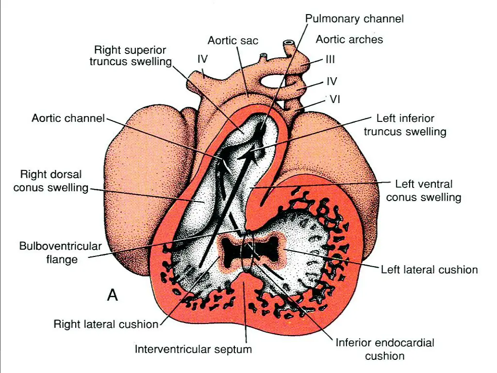 slide31