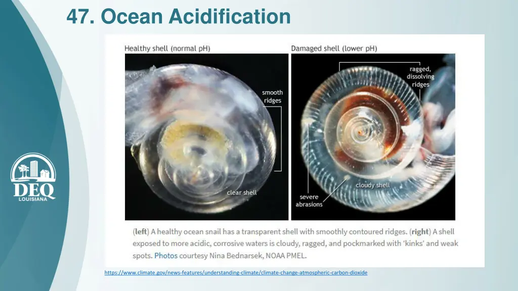 47 ocean acidification